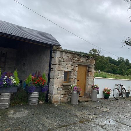 Toms Cottage Longford Zewnętrze zdjęcie