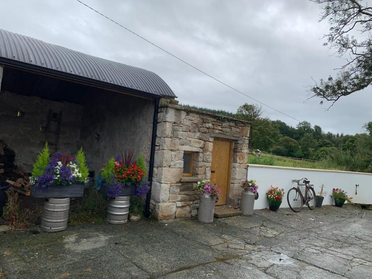 Toms Cottage Longford Zewnętrze zdjęcie
